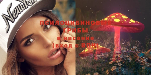 а пвп мука Лиски