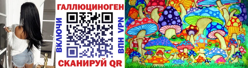 Галлюциногенные грибы Psilocybe  Купить где  Коломна